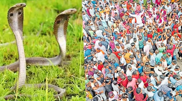 शिराळकरांनो...वारसा जपायचा की विकायचा?