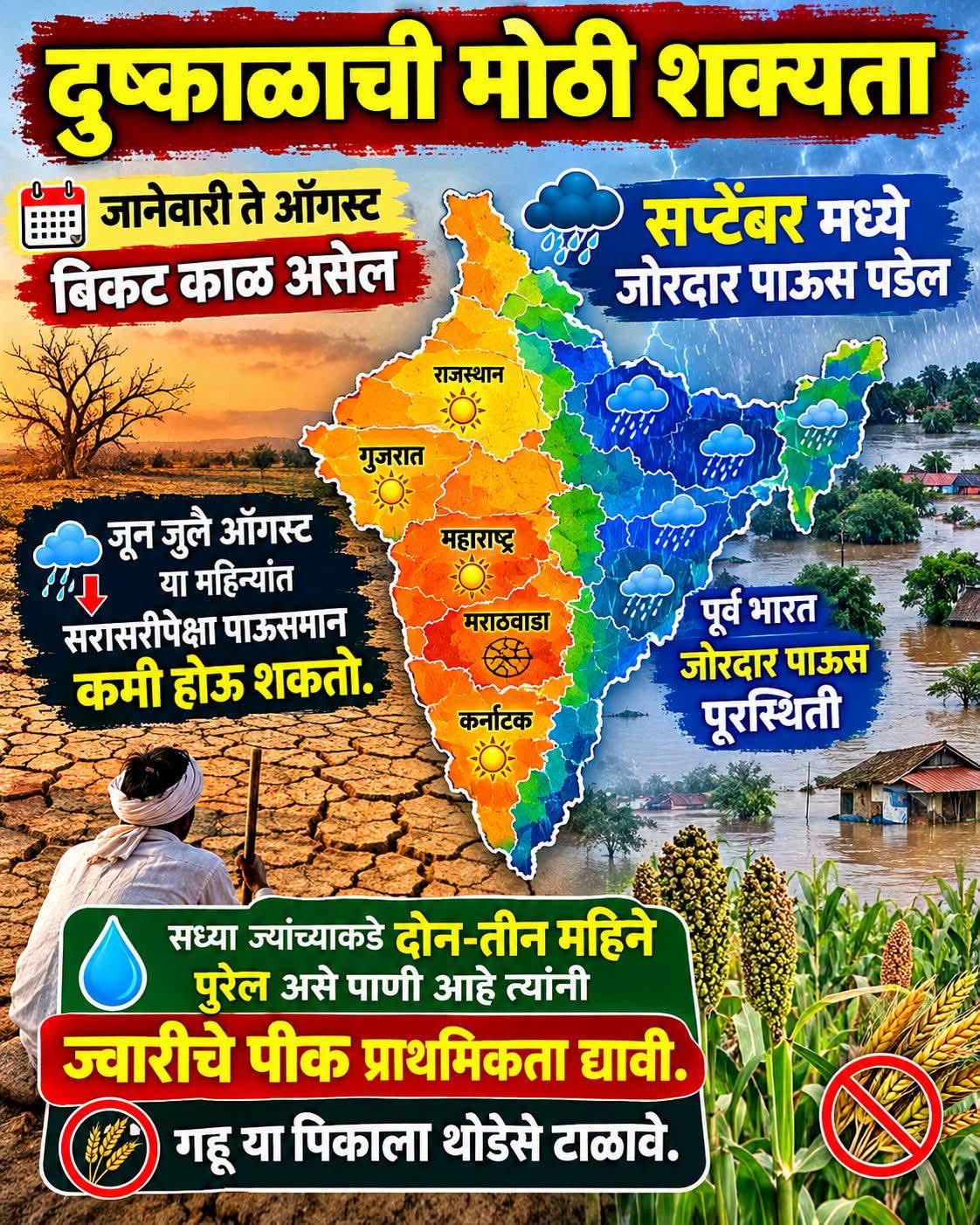 दुष्काळामुळे रब्बी हंगाम वाया जाण्याचा धोका