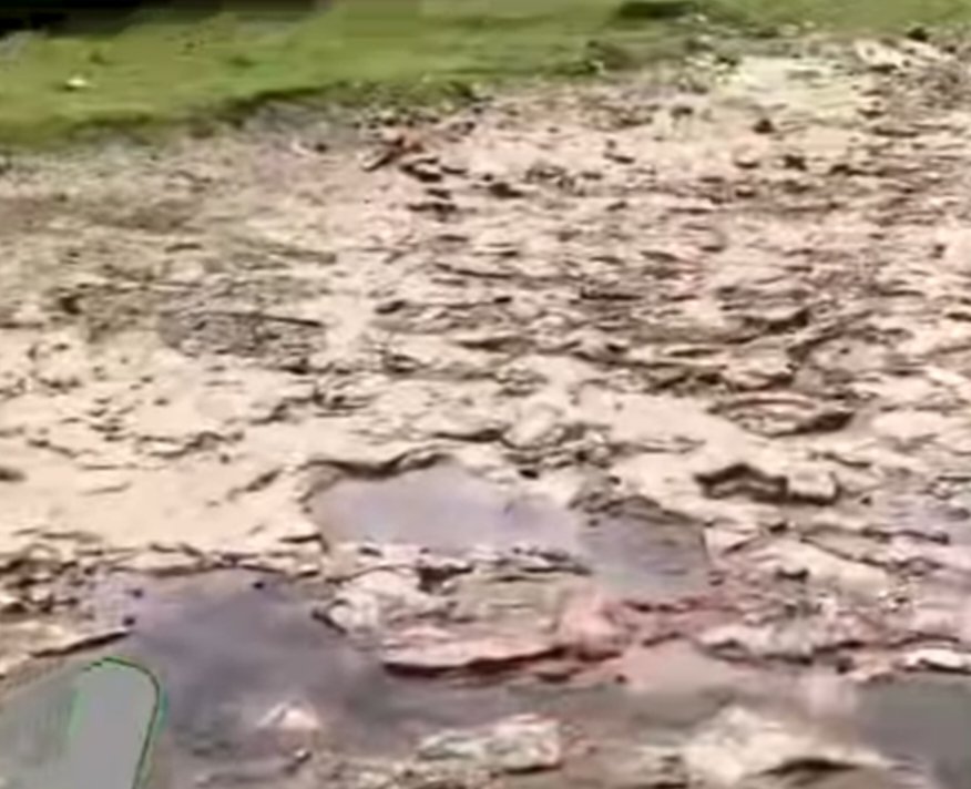 कृष्णा नदी कोरडी ; तातडीने पाणी सोडा : शरद लाड